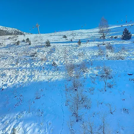 Apartment 1650 - Mountain View Snow Front 2s07 *